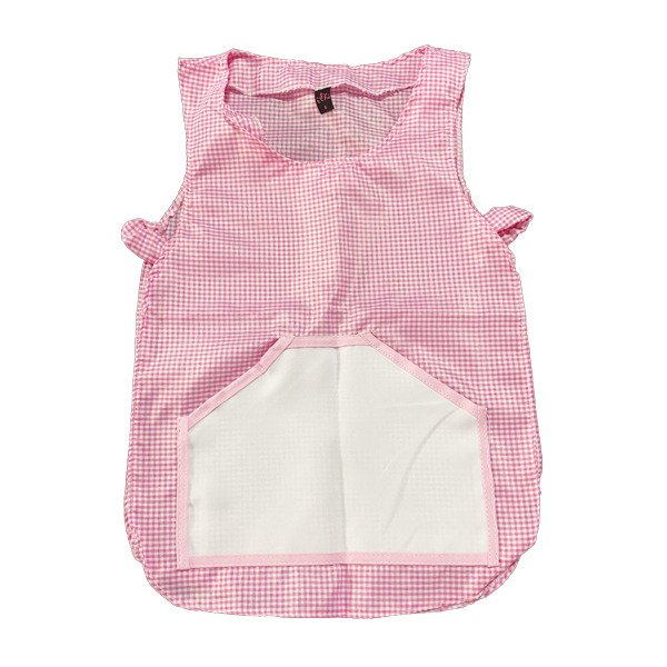 Pintorcito Bies Completo (Preguntar color)